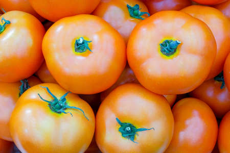 Close-up group of fresh tomato on fresh market, tomato are the result of many types of cooking, it also has many vitamins, mineral, antioxidants to prevent disease. it also help to moisturize the skinの写真素材