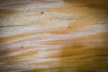 Empty large hardwood plank with detail, texture and pattern of skin wood nature background, brown color wood plank with empty for put text or anythingの写真素材
