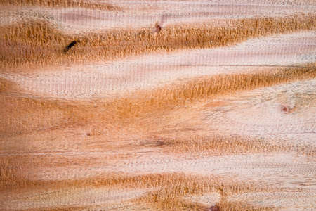 Close-up large hardwood plank with detail, texture and pattern of skin wood nature backgroundの写真素材