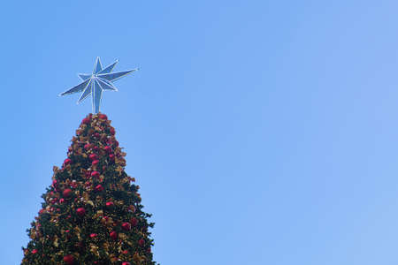 Close-up top of giant Christmas tree with star decoration on blue sky background in and copy space, Christmas event for countdown to a New Yearの写真素材