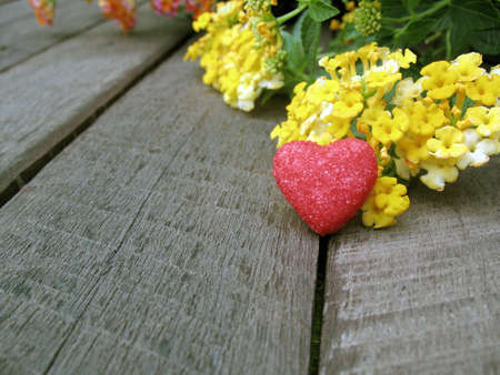 valentine background,red heart with yellow flowers on woodenの写真素材