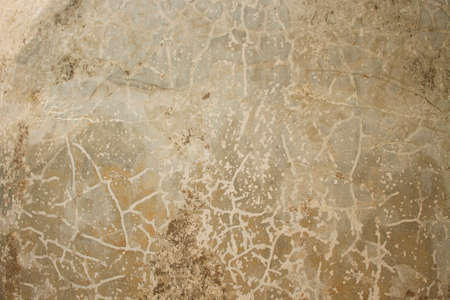 dirty grungy cement wall gray tone texture.の写真素材