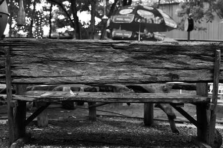 Behind old wooden bench on BW colorの写真素材