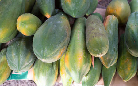 Raw papaya for sellの写真素材