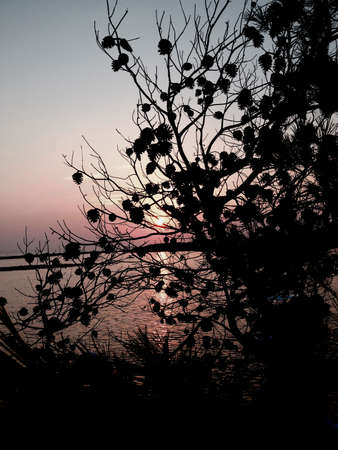 Sunset over the seaの写真素材