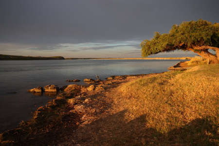 Sunlit watersideの写真素材