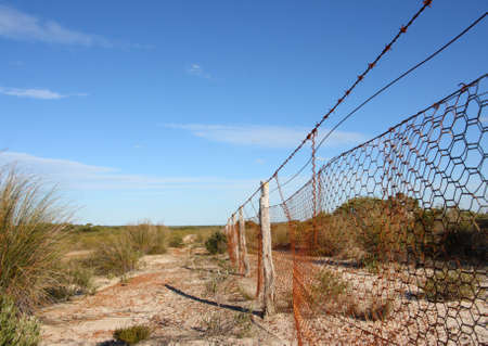 Rabbit proof fenceの写真素材
