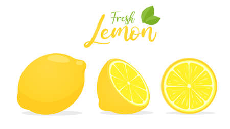 Vector yellow lemon fruit with sour taste for cooking and squeezing to make healthy lemonadeのイラスト素材