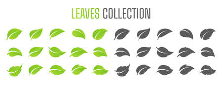 Simple flat green leaf design vector The concept of forest preservation by using natural productsのイラスト素材