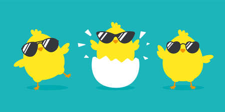Newborn chick with glasses coming out of eggs isolated on background.のイラスト素材