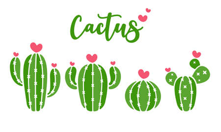 Cactus vector. A variety of cacti that are blooming are pink hearts. Isolated on white background.のイラスト素材
