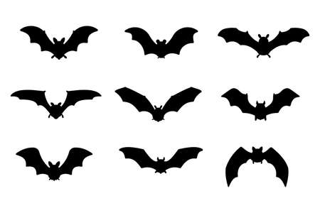 Bat vampire vector. scary ghost bat silhouette Flying out to suck blood on Halloween.