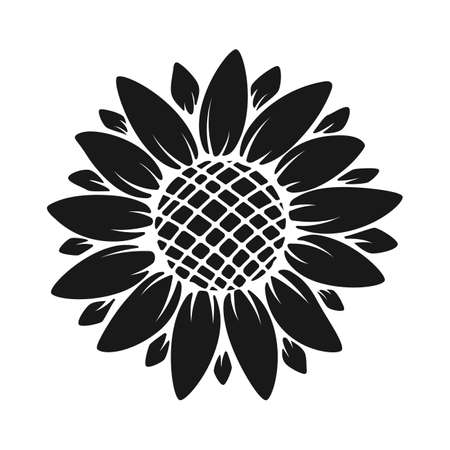 Vector yellow sunflower. Sunflower silhouette text frame Isolated on white background.のイラスト素材