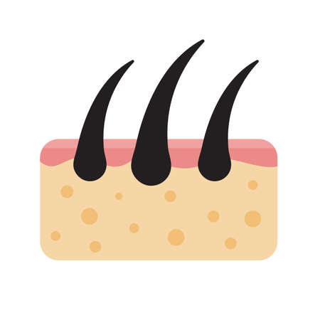 Hair icon. Hair on human skin Hair care concept Solve the problem of hair loss.のイラスト素材