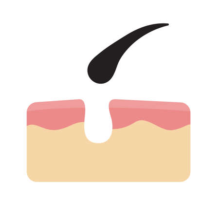 Hair icon. Hair on human skin Hair care concept Solve the problem of hair loss.のイラスト素材