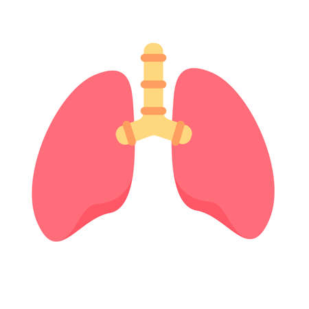 Lung icon. Lungs help to breathe oxygen into the human body. Body care conceptのイラスト素材