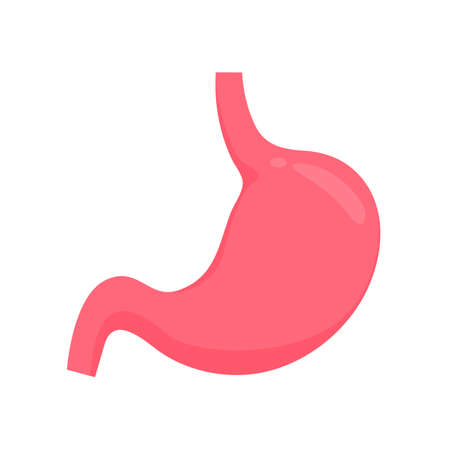 Stomach icon. The stomach contains gastric juice to aid digestion and ascend to the intestine.のイラスト素材