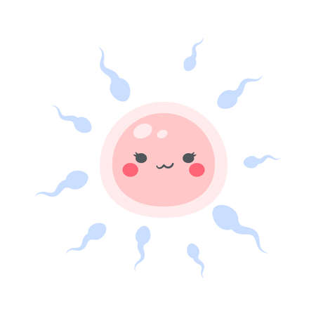 Sperm runs into the female ovary to fertilize a woman's pregnancy.のイラスト素材