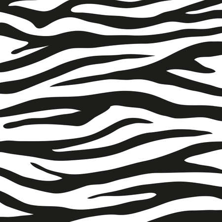 Black stripes on the skin of a zebra for decoration graphicsのイラスト素材