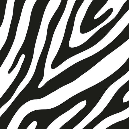 Black stripes on the skin of a zebra for decoration graphicsのイラスト素材