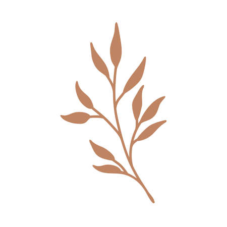 hand painted leaves for decoration in minimalist styleのイラスト素材