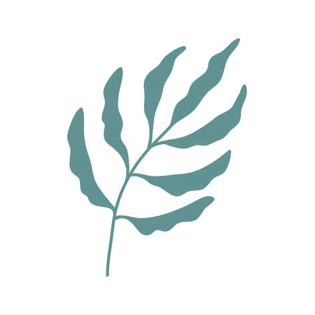 hand painted leaves for decoration in minimalist styleのイラスト素材