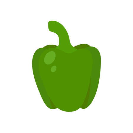 Sweet and colorful bell peppers for cookingのイラスト素材