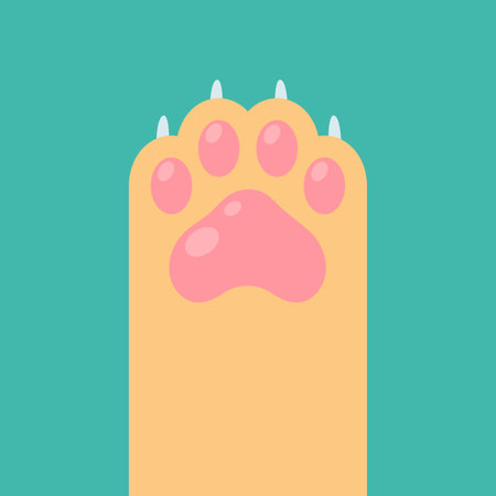 Dog and cat paws with sharp claws. cute animal footprintsのイラスト素材