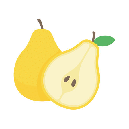 vector pear Sweet, refreshing fruit for vegetarians.のイラスト素材