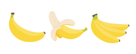 Banana vector. yellow fruit for vegetarian healthのイラスト素材