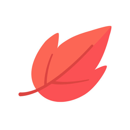 Beautiful leaf composition. Leaves change color in autumnのイラスト素材