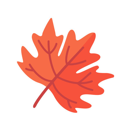 Beautiful leaf composition. Leaves change color in autumnのイラスト素材