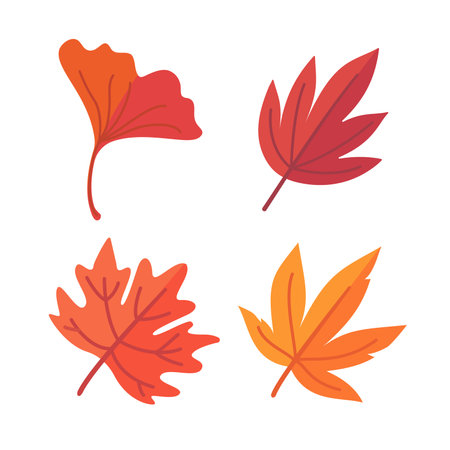 Beautiful leaf composition. Leaves change color in autumnのイラスト素材