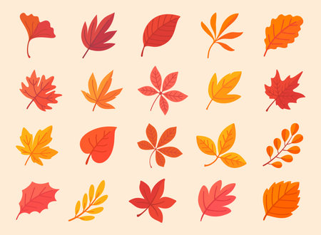Autumn leaf collection Orange maple leaves in autumn simple designのイラスト素材