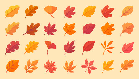 Autumn leaf collection Orange maple leaves in autumn simple designのイラスト素材