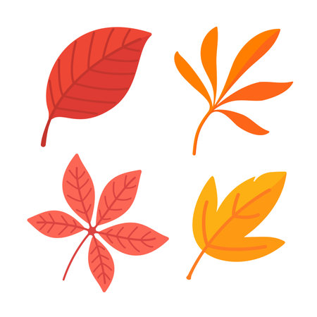 Beautiful leaf composition. Leaves change color in autumnのイラスト素材