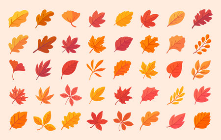 Autumn leaf collection Orange maple leaves in autumn simple designのイラスト素材