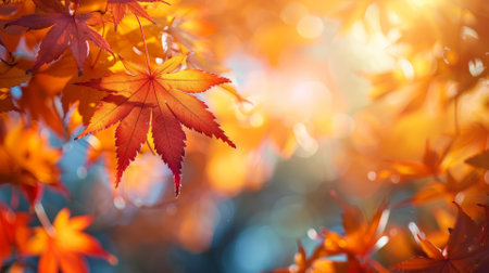 Close-up of colorful autumn leaves, seasonal changeの素材