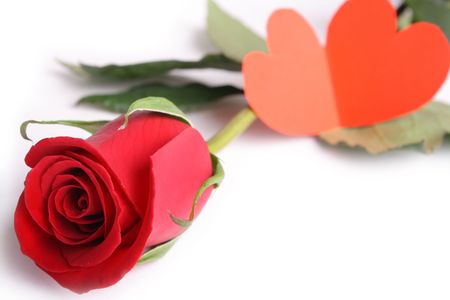 Red rose and heart on white background の写真素材
