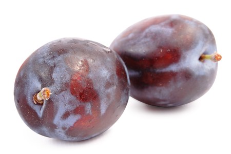 ripe plum on white backgroundの写真素材