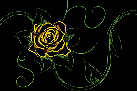 Beautiful  flowers on black background (illustration)のイラスト素材