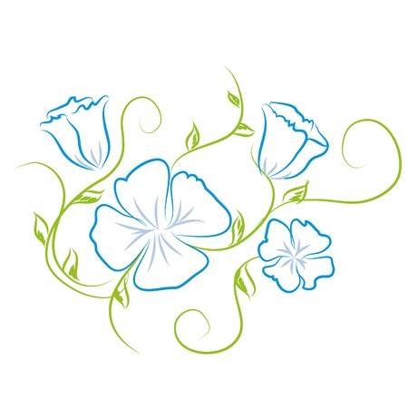 Beautiful  flowers on white background (illustration)のイラスト素材