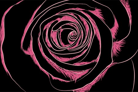 Beautiful   flowers on black background (illustration)のイラスト素材