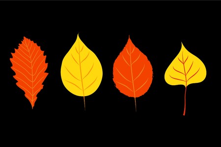 Beautiful autumn illustration on black backgroundのイラスト素材