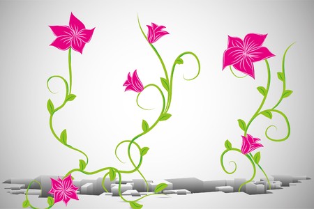 Beautiful  flowers on white background (illustration)のイラスト素材