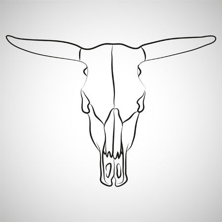 cow skull on gray background (illustration)のイラスト素材