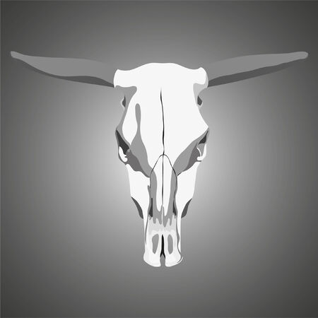 cow skull on gray background (illustration)のイラスト素材