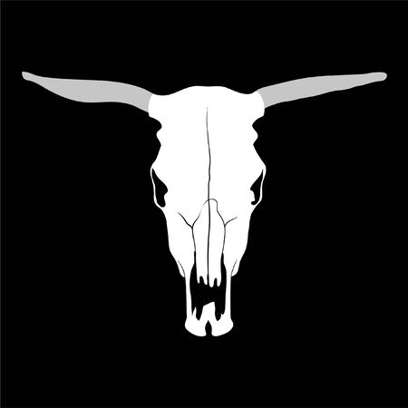 cow skull on black background (illustration)のイラスト素材