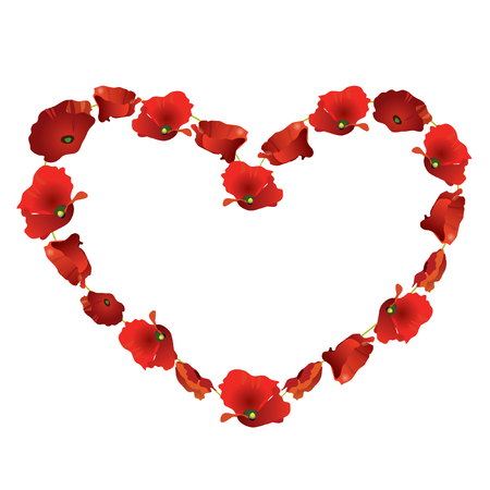 beautiful red poppy heart  on white backgroundのイラスト素材