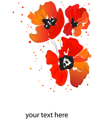 beautiful bright red watercolor blossom paint poppyのイラスト素材
